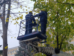 11.11.2025 спасатели Службы спасения  г. Краснодара произвели санитарную опиловку и спил аварийных деревьев на территории Краснодарского военного госпиталя.